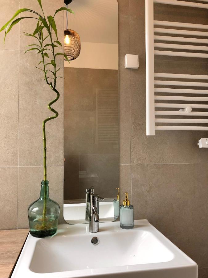 Le Tanin -Appartement Entier Avec Balcon Saumur Εξωτερικό φωτογραφία